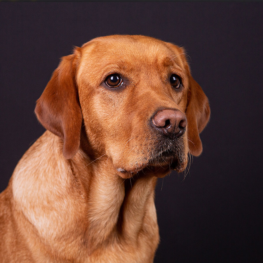 Malou, geb. Mariel vom Littard